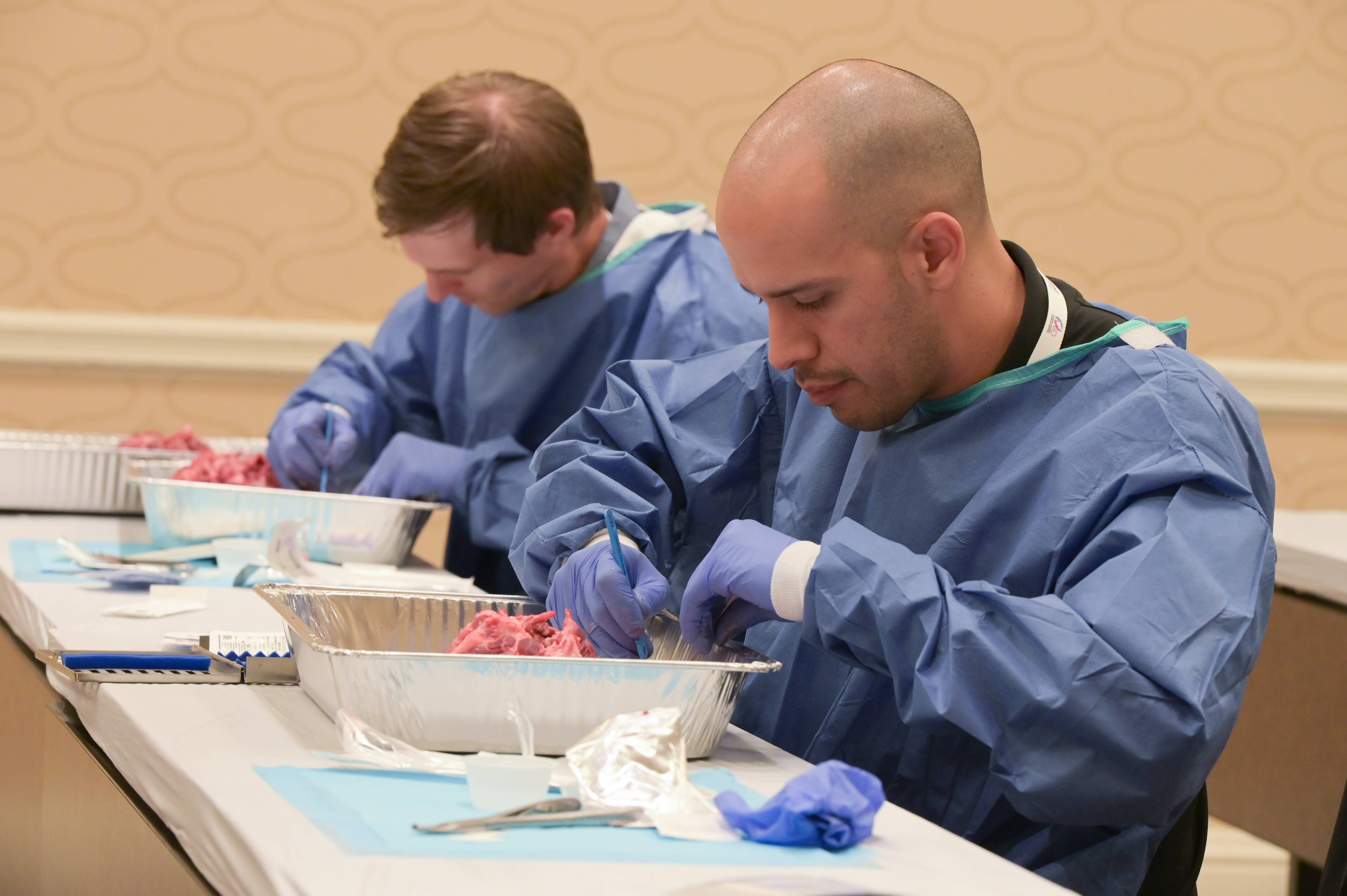 Image of 2 men dissecting something.