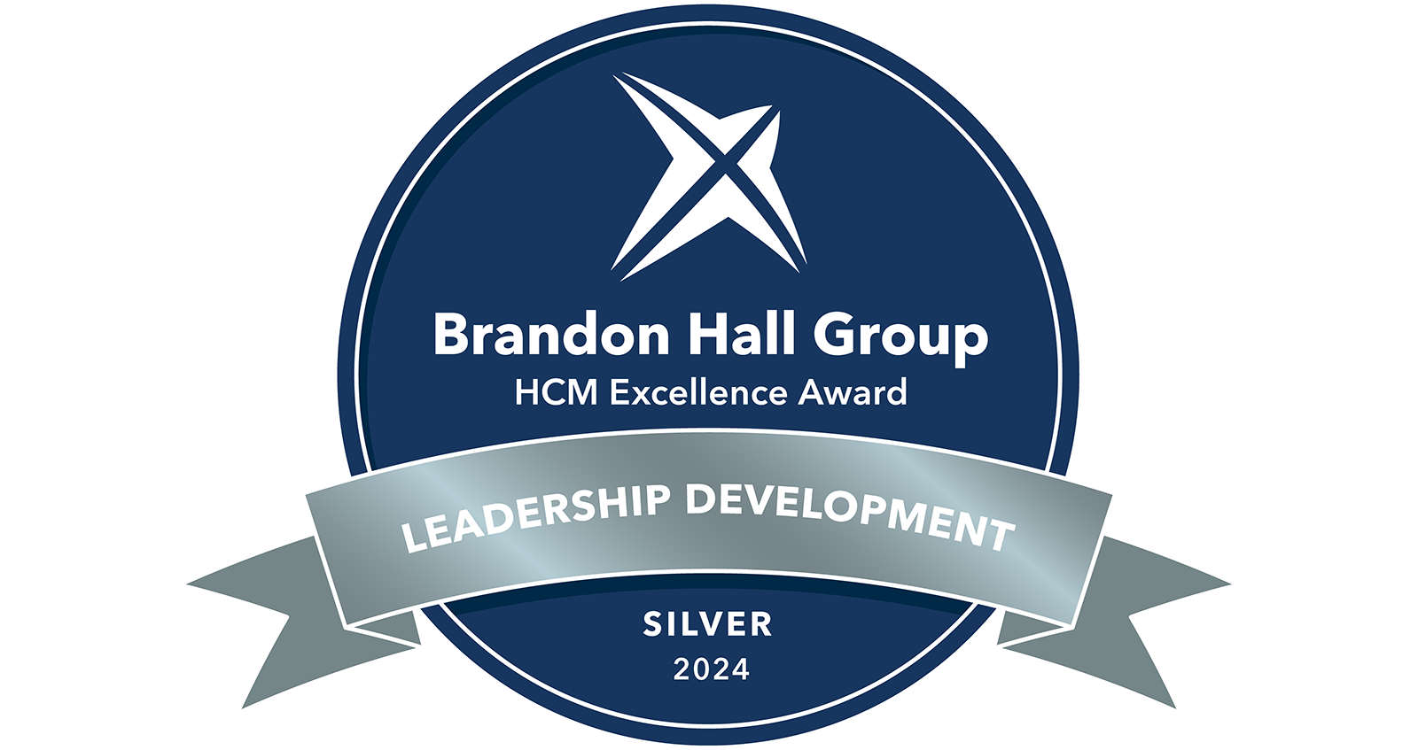 Brandon Hall Silver Award