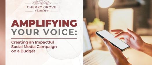 Creating an Impactful Social Media Campaign on a Budget (in person)
