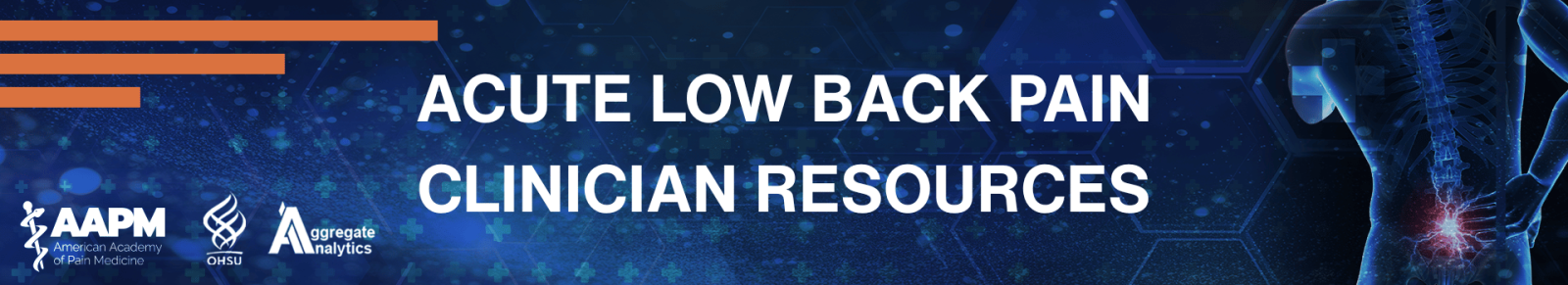 Acute Low Back Pain Clinician Resources