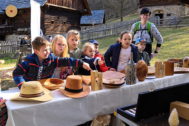 2019 World Wood Day woodturning demonstration in Austria