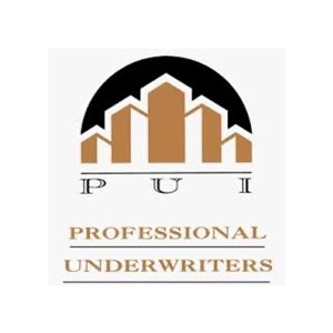 PROFESSIONAL UNDERWRITER