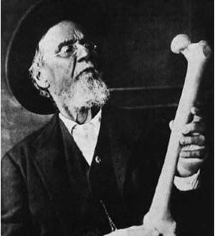 Osteopathic Medicine