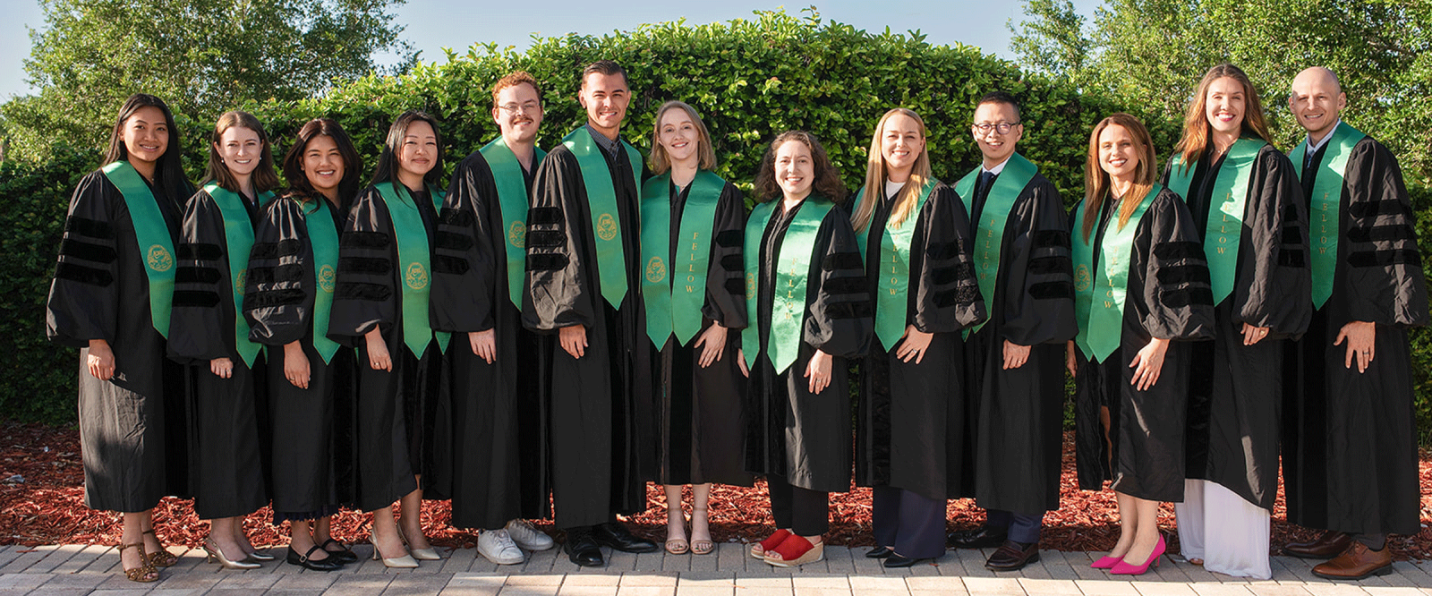 New Fellows 2026