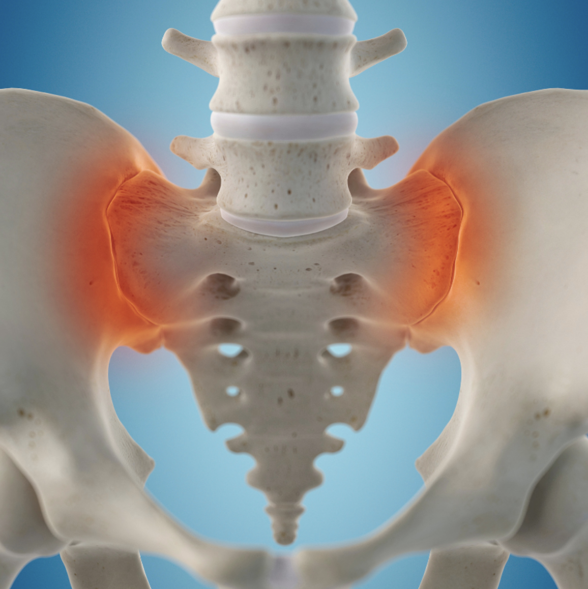 Pelvic girdle dysfunction course with Deborah Riczo