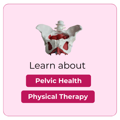 Benefits of Pelvic Health Physical Therapy