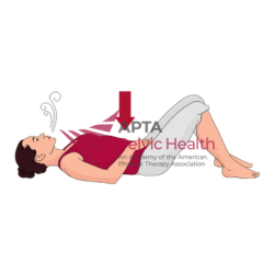 Physical Therapy Exercises