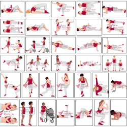 Physical Therapy Exercises