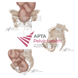 Fetal Stations