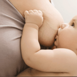 Lactation & Infant Feeding On-Demand