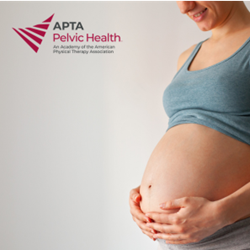 Add-On | Introductory Concepts in Pregnancy and Postpartum On-Demand (OB-Concepts On-Demand)
