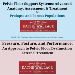 Kathe Wallace Course Bundle
