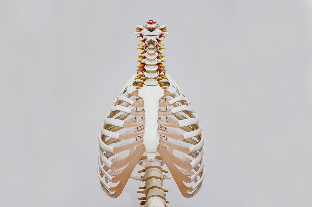 Osteoporosis: Causes, Symptoms, Physical Therapy Treatment - APTA ...