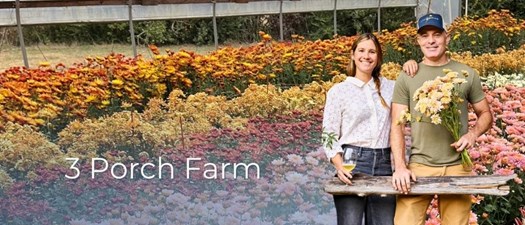 3 Porch Farm