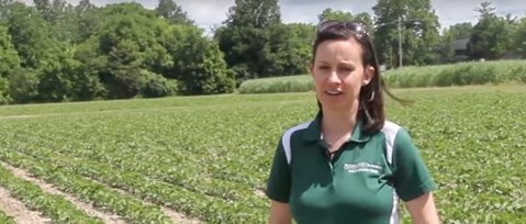 Ask an Expert: Smart Weed Management -- Identification Technologies, Practical Uses, and Their Limits