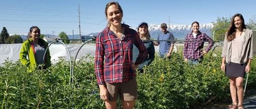 What Your Soil Test Is Really Telling You