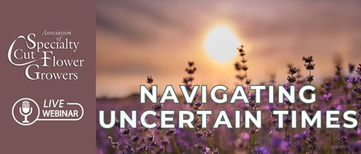 Increasing Profitability in Tough Times