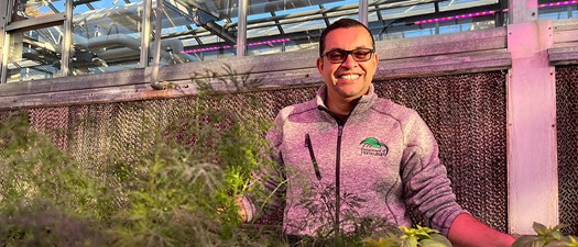 Longer Stems, Better Blooms: The Science Behind the Art