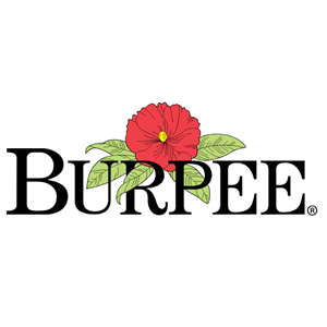 Photo of Burpee