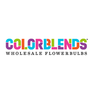 Photo of Colorblends Wholesale Flowerbulbs