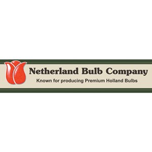Photo of Netherland Bulb Company