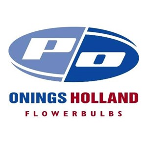 Photo of Onings America