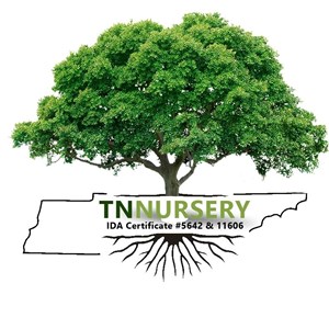 Photo of Tennessee Wholesale Nursery