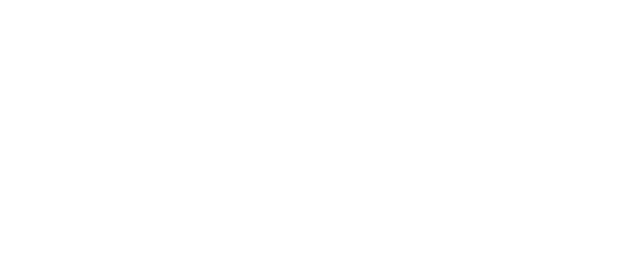 FutureFest