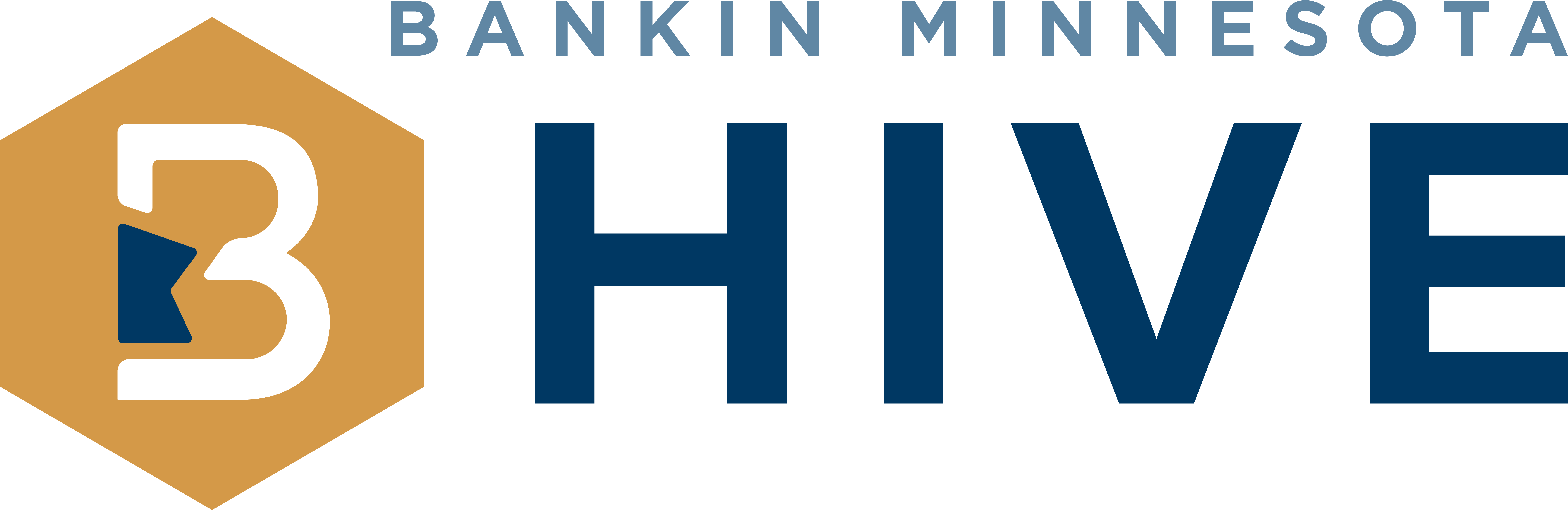 BankIn Minnesota B Hive