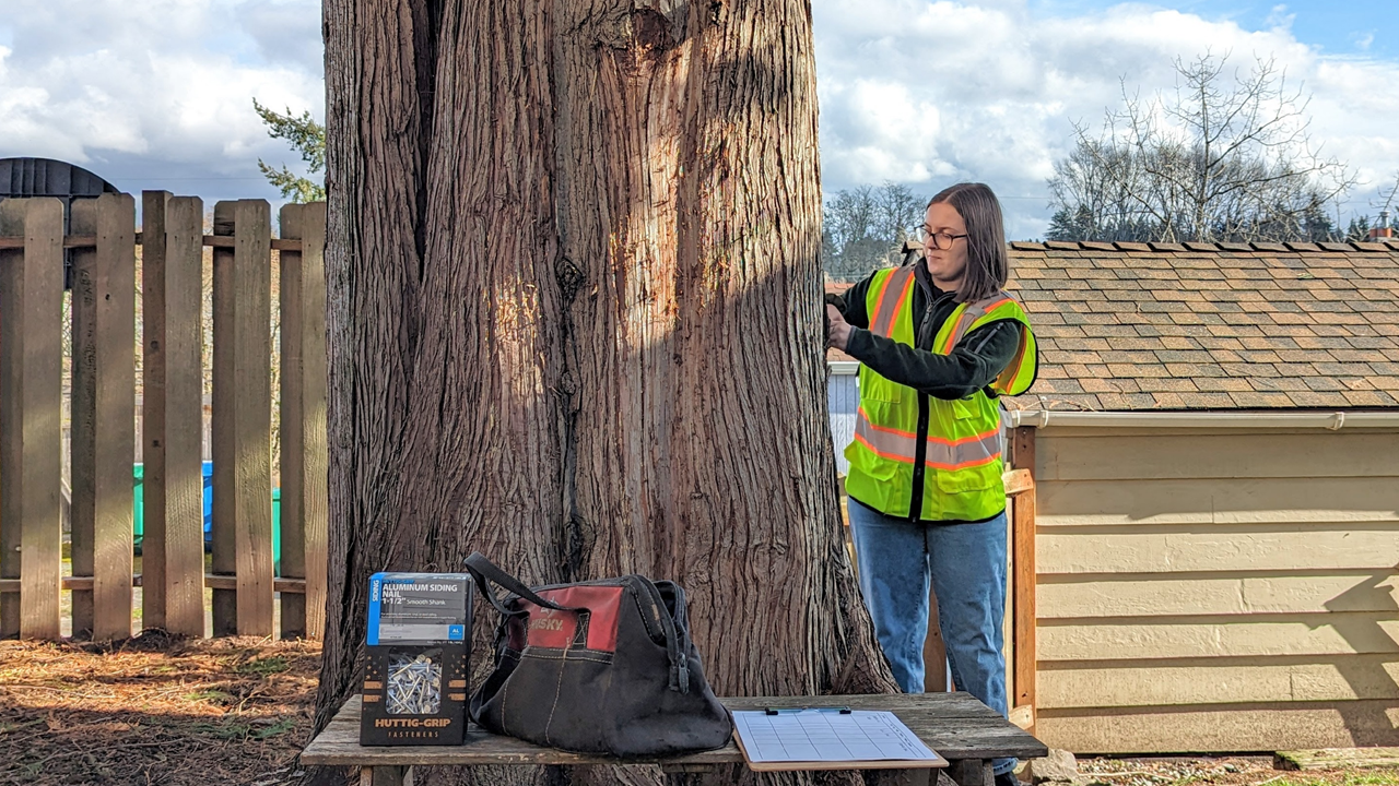 Tree Risk Assessment by Certified Arborist