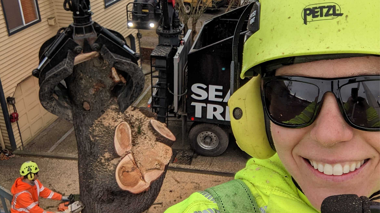 Tree Removal with Seattle Tree Care Grapple Truck