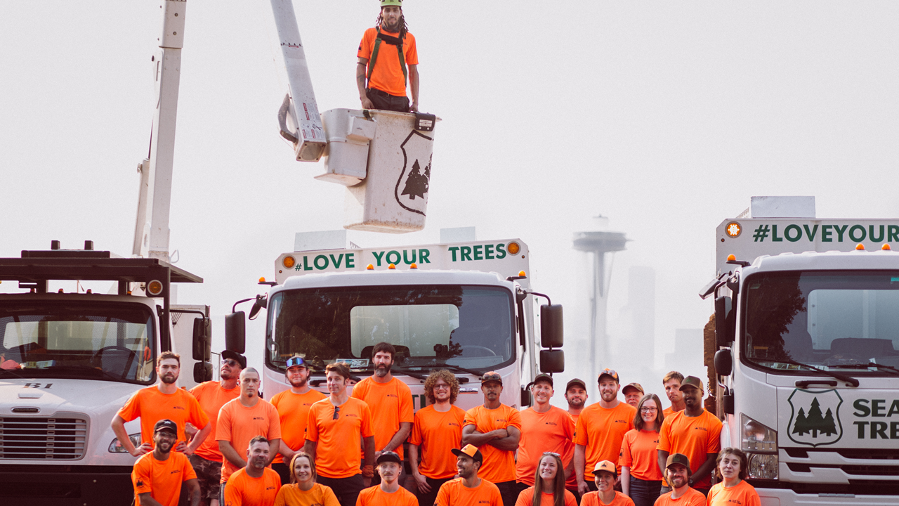 Seattle Tree Care Staff Photo