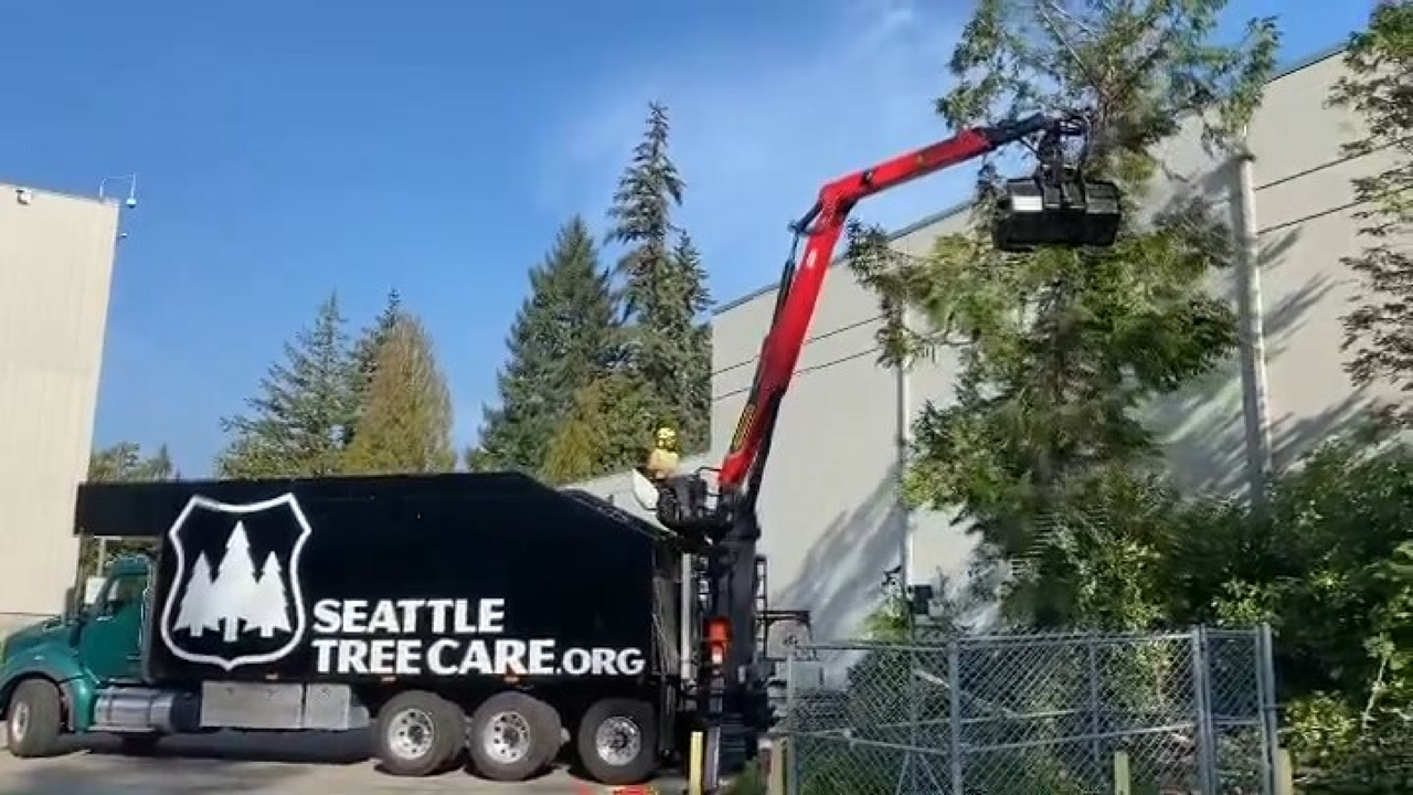 Seattle Tree Care Grapple Truck