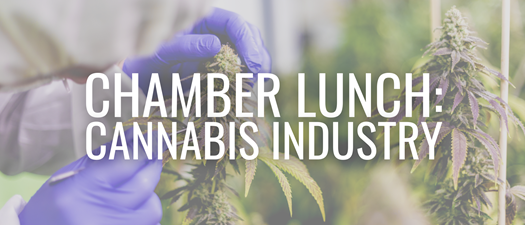 Chamber Lunch: Demystifying the Cannabis Industry