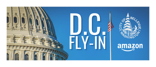 DC Fly-In