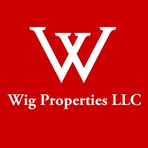 Photo of Wig Properties