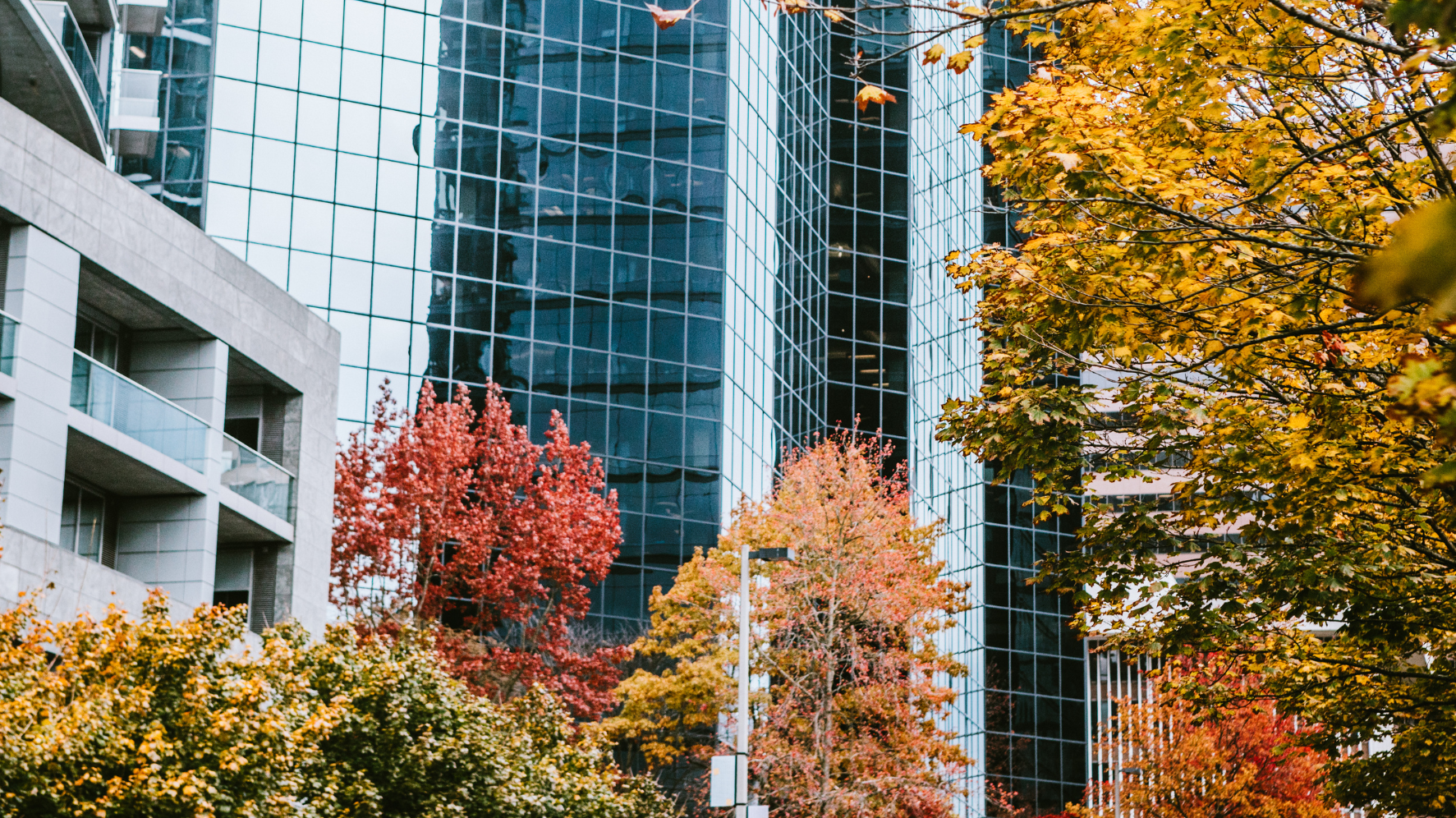 Our June PLUSH Committee recap: Bellevue's Downtown Livability 2.0 code refresh (no height or FAR...
