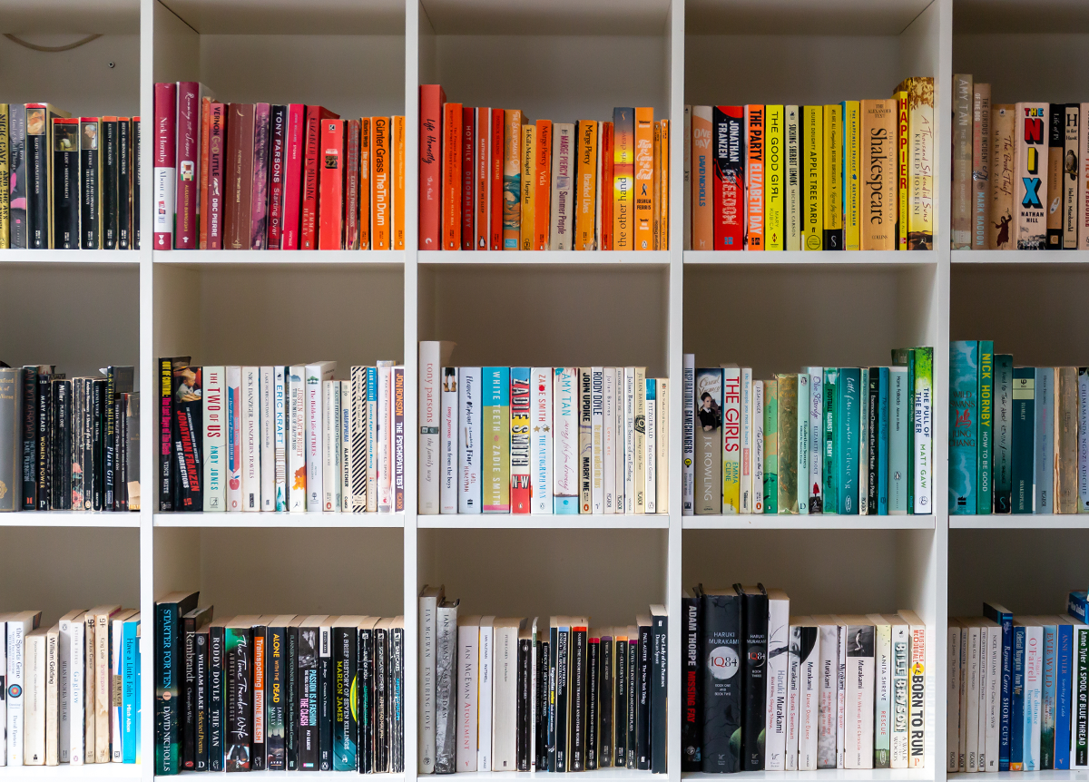 Modern looking books on a white bookcase, organized by color