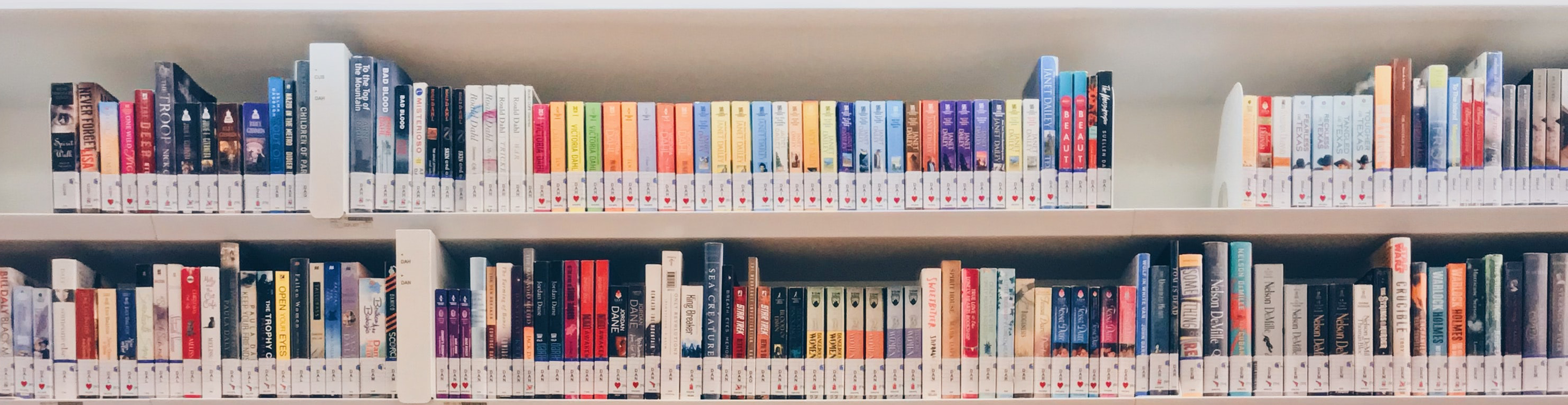 A wall of bookshelves in a book store. The shelves are lines with colorful books, they all have visible subject codes taped to the spines.