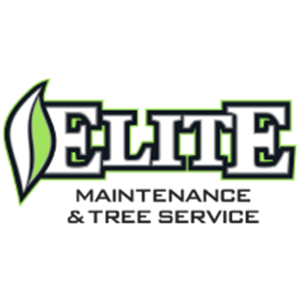 Elite Maintenance and Tree Service