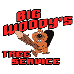 Photo of Big Woody's Tree Service LLC