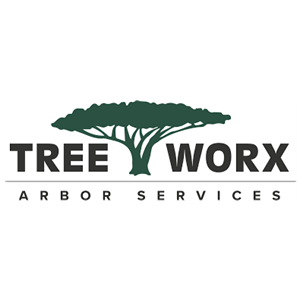 Photo of Tree Worx