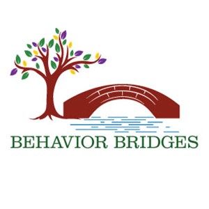 Photo of Behavior Bridges