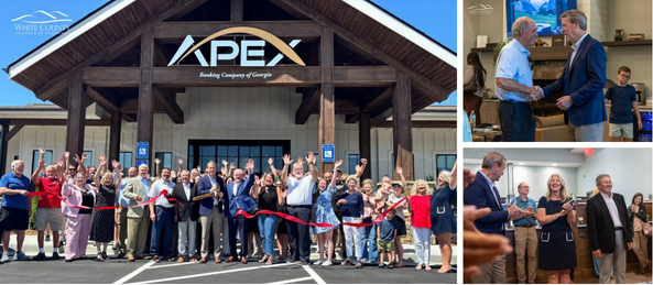Apex Banking Company