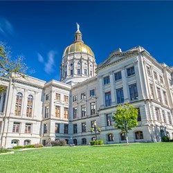 Advocacy Donation (Silent Auction)