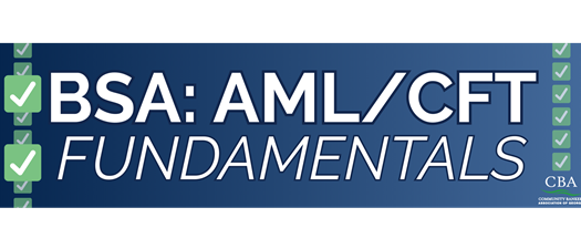2026 BSA: AML/CFT Fundamentals 
