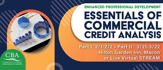 2023 Essentials of Commercial Credit Analysis: Part 2