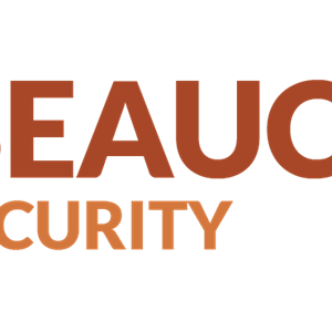 Photo of Beauceron Security
