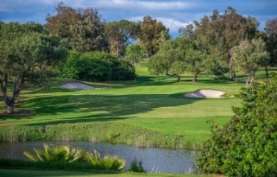 lush green golf courses with sand pits