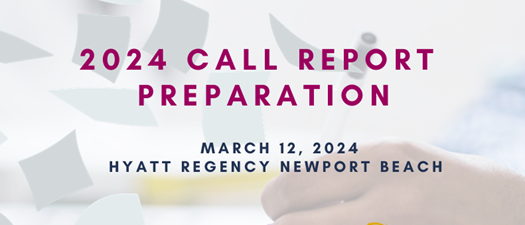 Call Report Preparation 2024